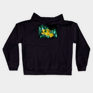 Skull and Crystals Kids Hoodie